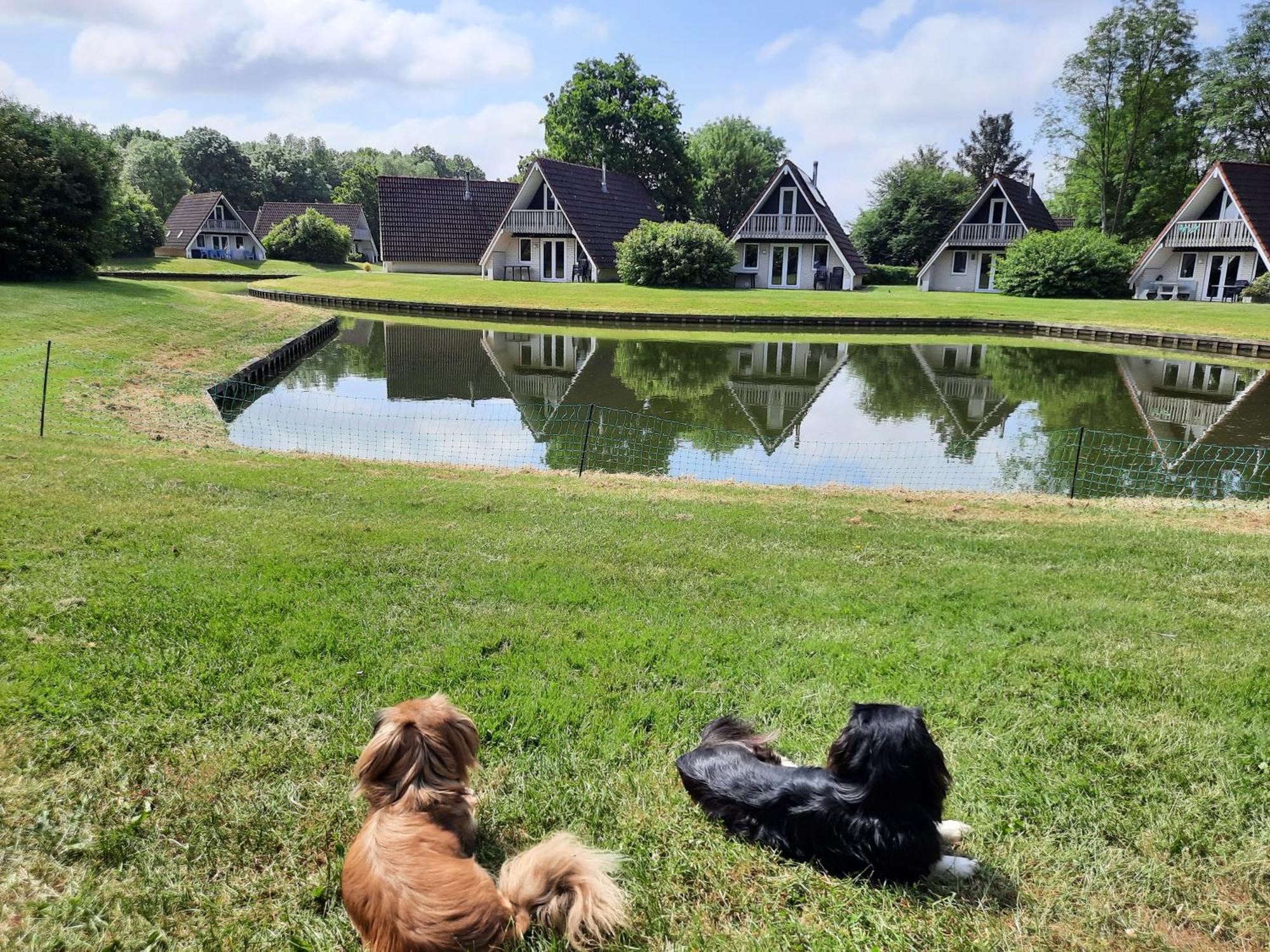 De Gouwe, 158 - Aan Visvijver, De Beste Visstek Gramsbergen 外观 照片